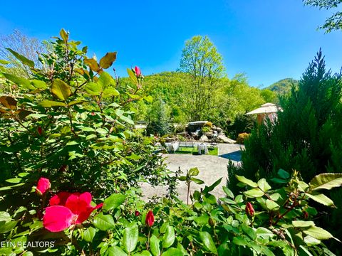 Tiny photo for 213214 HIghway 73, Townsend, TN 37882 (MLS # 1334482)