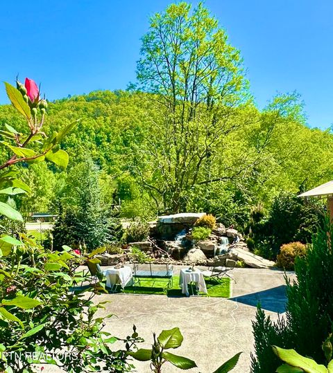 Tiny photo for 213214 HIghway 73, Townsend, TN 37882 (MLS # 1334482)