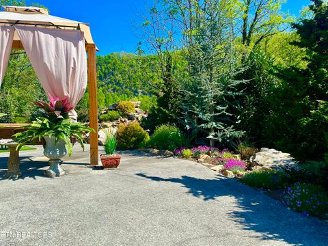 Tiny photo for 213214 HIghway 73, Townsend, TN 37882 (MLS # 1334482)