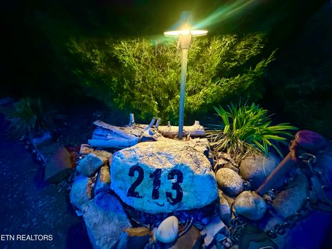 Tiny photo for 213214 HIghway 73, Townsend, TN 37882 (MLS # 1334482)