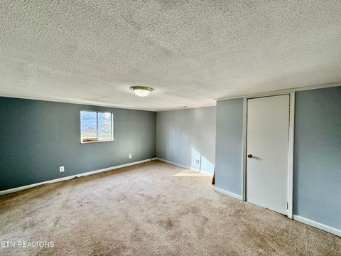 Tiny photo for 204 N Niota Rd, Englewood, TN 37329 (MLS # 1328387)