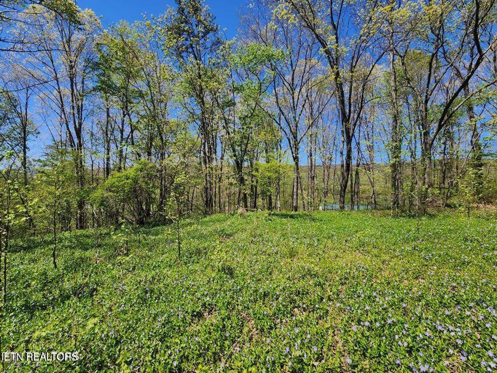 Photo of 0 Roane St, Harriman, TN 37748 (MLS # 1297420)