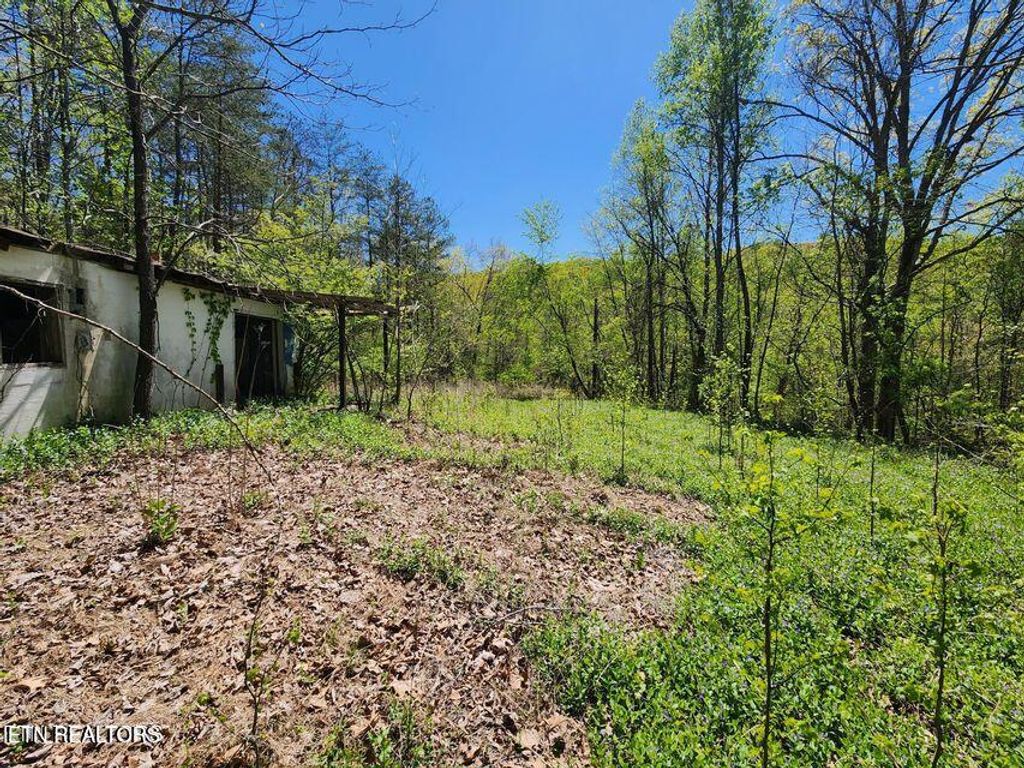 Photo of 0 Roane St, Harriman, TN 37748 (MLS # 1297420)