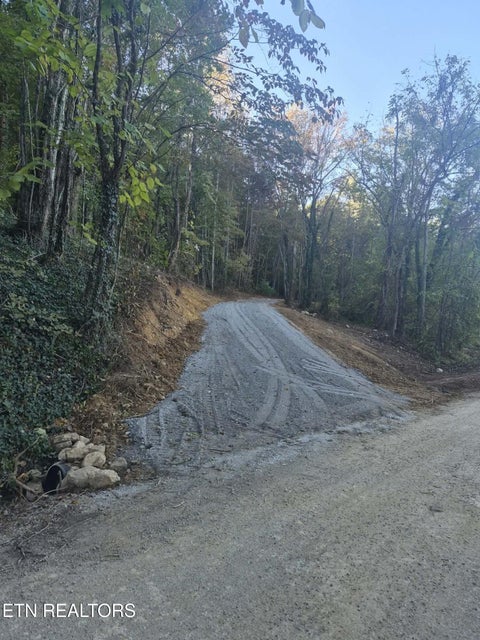 Tiny photo for 177 Martin Rd, Tellico Plains, TN 37385 (MLS # 1359692)