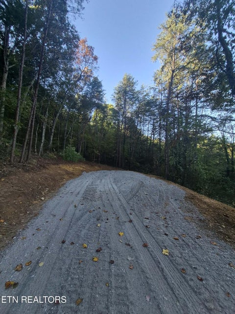 Tiny photo for 177 Martin Rd, Tellico Plains, TN 37385 (MLS # 1359692)