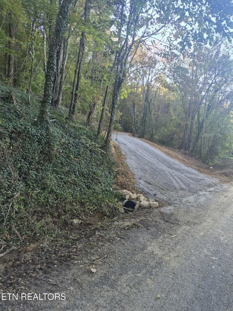 Photo of 177 Martin Rd, Tellico Plains, TN 37385 (MLS # 1359692)