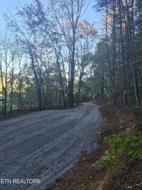 Tiny photo for 177 Martin Rd, Tellico Plains, TN 37385 (MLS # 1359692)