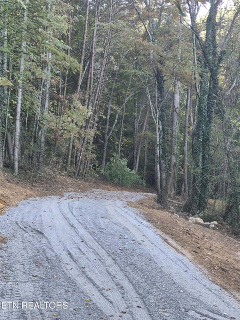 Tiny photo for 177 Martin Rd, Tellico Plains, TN 37385 (MLS # 1359692)