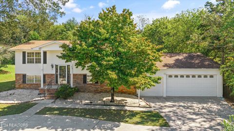 Photo of 616 Loop Rd, Knoxville, TN 37934 (MLS # 1317267)