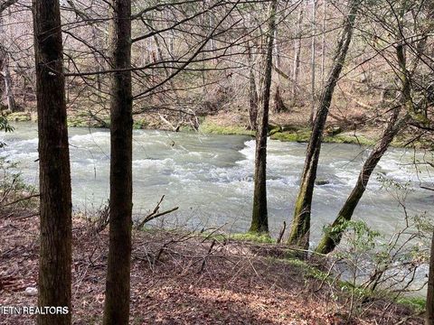 Tiny photo for 556 N Main St, Crossville, TN 38555 (MLS # 1317852)