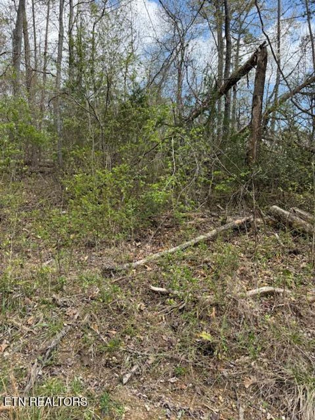 Photo of Clear Springs Rd, Harriman, TN 37748 (MLS # 1297122)