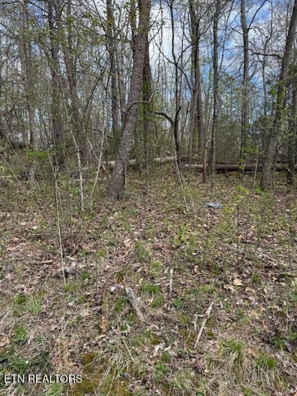 Photo of Clear Springs Rd, Harriman, TN 37748 (MLS # 1297122)