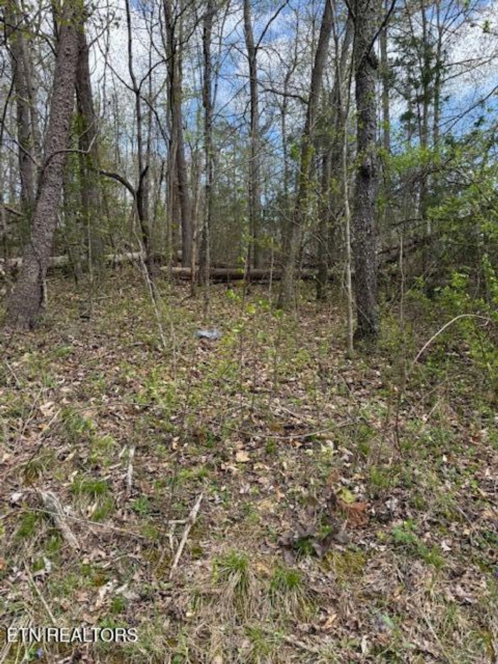 Photo of Clear Springs Rd, Harriman, TN 37748 (MLS # 1297122)