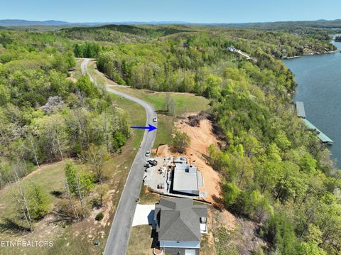 Tiny photo for 265 River Run Tr, Spring City, TN 37381 (MLS # 1336372)