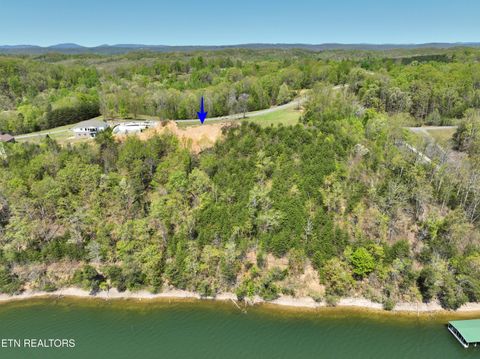 Tiny photo for 265 River Run Tr, Spring City, TN 37381 (MLS # 1336372)