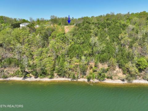 Tiny photo for 265 River Run Tr, Spring City, TN 37381 (MLS # 1336372)