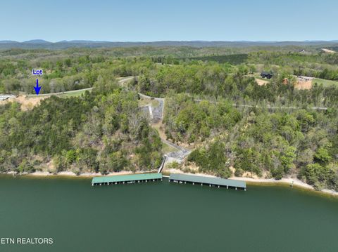 Tiny photo for 265 River Run Tr, Spring City, TN 37381 (MLS # 1336372)