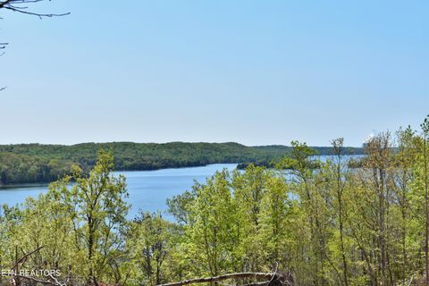 Tiny photo for 265 River Run Tr, Spring City, TN 37381 (MLS # 1336372)