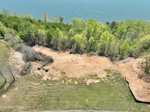 Tiny photo for 265 River Run Tr, Spring City, TN 37381 (MLS # 1336372)