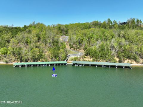 Tiny photo for 265 River Run Tr, Spring City, TN 37381 (MLS # 1336372)