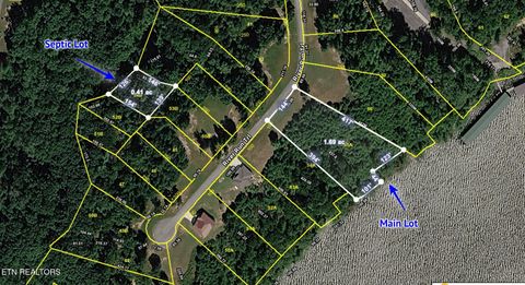 Tiny photo for 265 River Run Tr, Spring City, TN 37381 (MLS # 1336372)