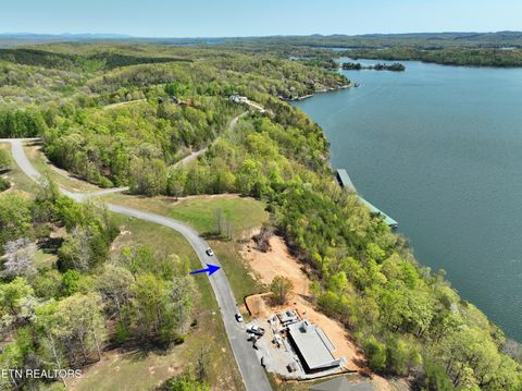 Tiny photo for 265 River Run Tr, Spring City, TN 37381 (MLS # 1336372)