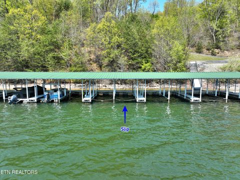 Tiny photo for 265 River Run Tr, Spring City, TN 37381 (MLS # 1336372)