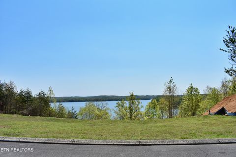 Tiny photo for 265 River Run Tr, Spring City, TN 37381 (MLS # 1336372)