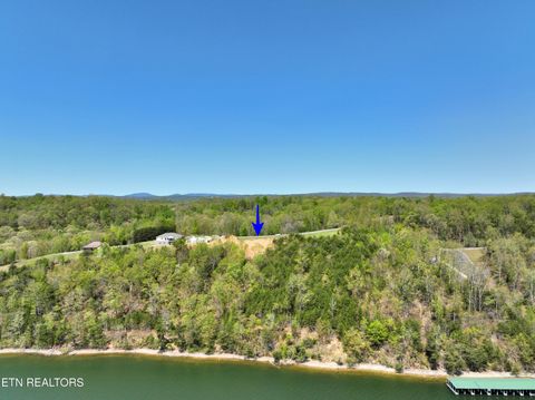 Tiny photo for 265 River Run Tr, Spring City, TN 37381 (MLS # 1336372)