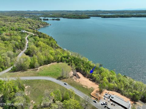 Tiny photo for 265 River Run Tr, Spring City, TN 37381 (MLS # 1336372)