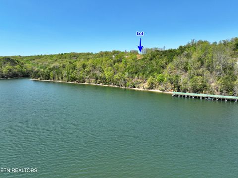 Tiny photo for 265 River Run Tr, Spring City, TN 37381 (MLS # 1336372)
