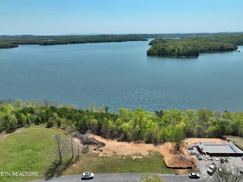 Tiny photo for 265 River Run Tr, Spring City, TN 37381 (MLS # 1336372)