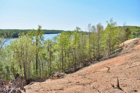 Tiny photo for 265 River Run Tr, Spring City, TN 37381 (MLS # 1336372)