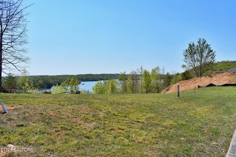 Tiny photo for 265 River Run Tr, Spring City, TN 37381 (MLS # 1336372)