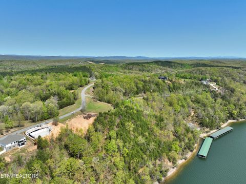 Tiny photo for 265 River Run Tr, Spring City, TN 37381 (MLS # 1336372)