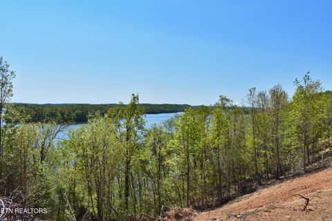 Tiny photo for 265 River Run Tr, Spring City, TN 37381 (MLS # 1336372)
