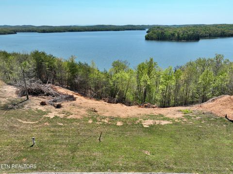 Tiny photo for 265 River Run Tr, Spring City, TN 37381 (MLS # 1336372)