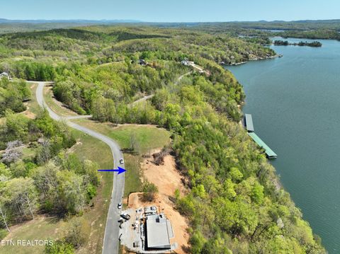 Tiny photo for 265 River Run Tr, Spring City, TN 37381 (MLS # 1336372)