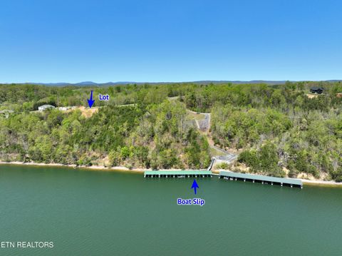 Tiny photo for 265 River Run Tr, Spring City, TN 37381 (MLS # 1336372)