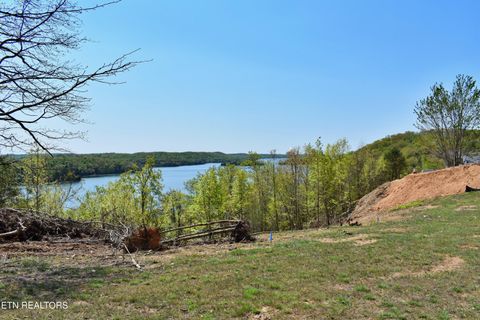 Tiny photo for 265 River Run Tr, Spring City, TN 37381 (MLS # 1336372)