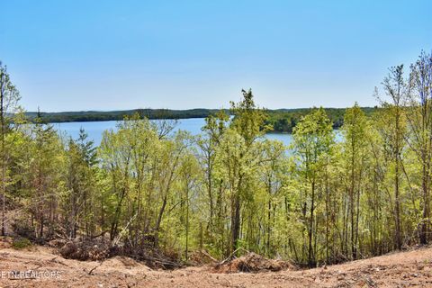 Tiny photo for 265 River Run Tr, Spring City, TN 37381 (MLS # 1336372)