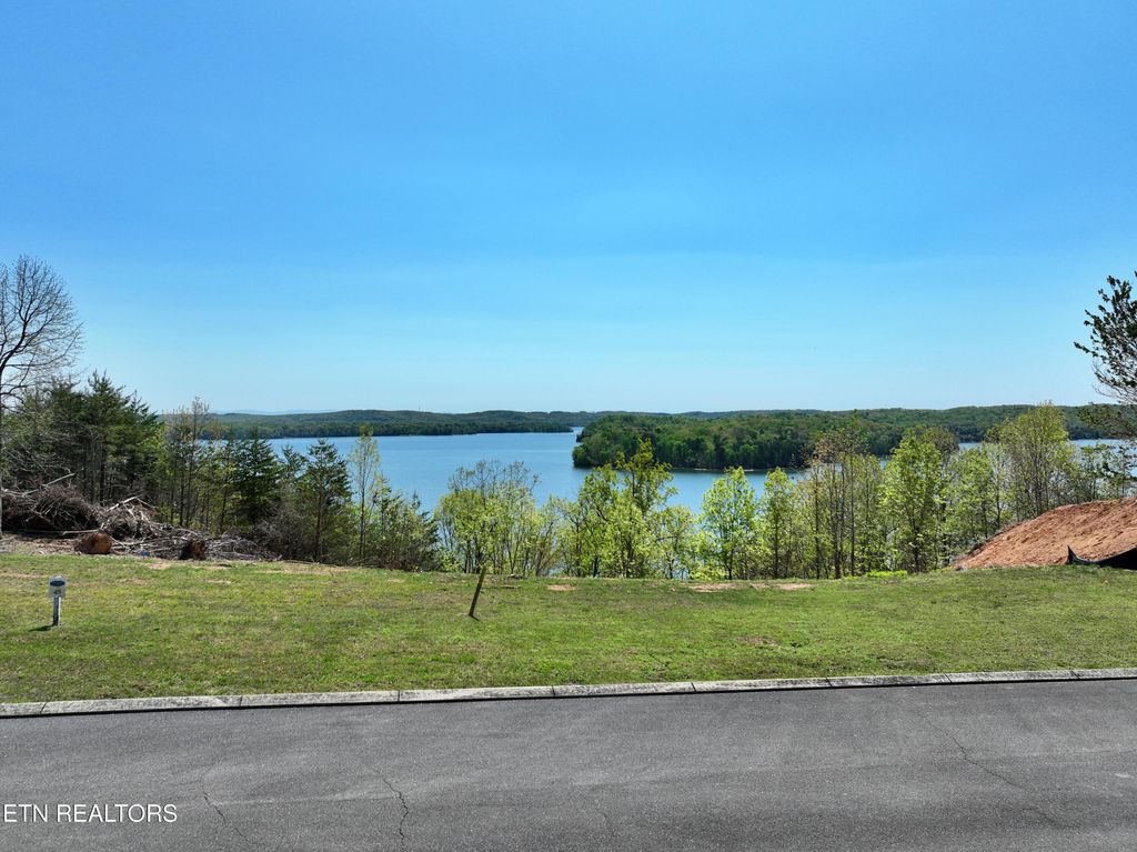 Photo of 265 River Run Tr, Spring City, TN 37381 (MLS # 1336372)
