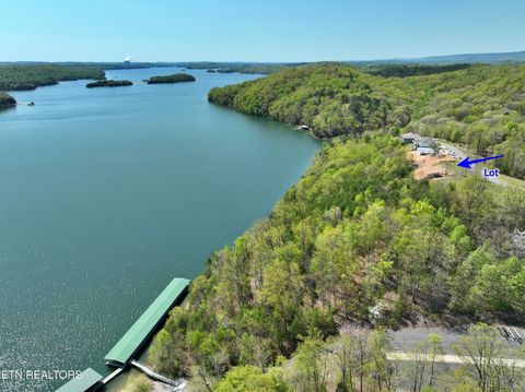 Tiny photo for 265 River Run Tr, Spring City, TN 37381 (MLS # 1336372)