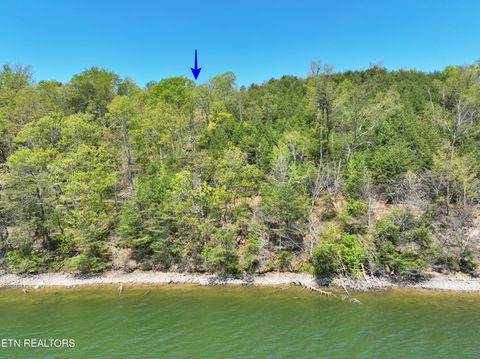 Tiny photo for 265 River Run Tr, Spring City, TN 37381 (MLS # 1336372)