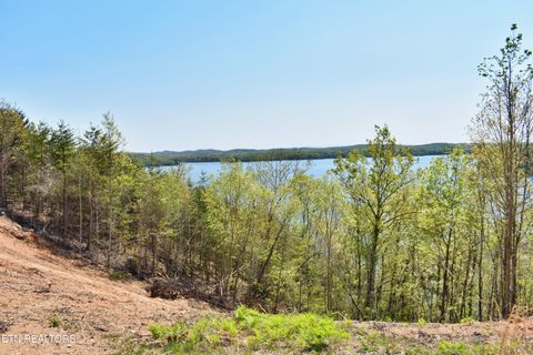 Tiny photo for 265 River Run Tr, Spring City, TN 37381 (MLS # 1336372)