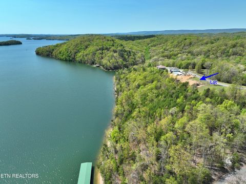 Tiny photo for 265 River Run Tr, Spring City, TN 37381 (MLS # 1336372)