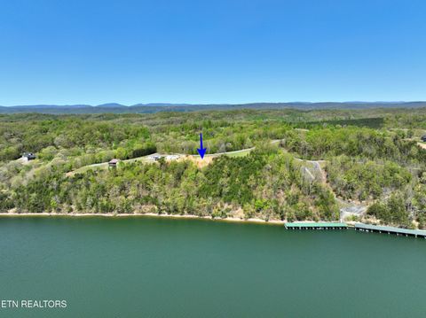 Tiny photo for 265 River Run Tr, Spring City, TN 37381 (MLS # 1336372)