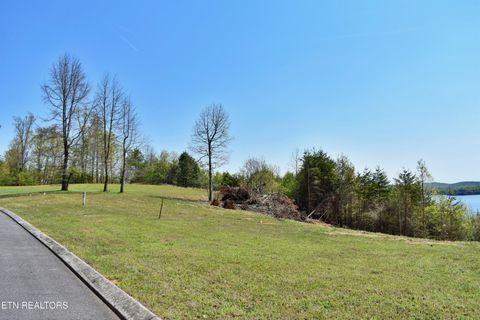 Tiny photo for 265 River Run Tr, Spring City, TN 37381 (MLS # 1336372)