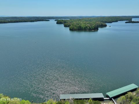 Tiny photo for 265 River Run Tr, Spring City, TN 37381 (MLS # 1336372)