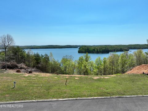 Tiny photo for 265 River Run Tr, Spring City, TN 37381 (MLS # 1336372)